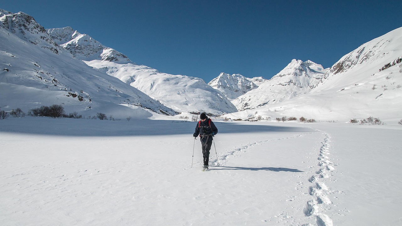 Solo Hiking: Finding Confidence and Quiet on the Trail Alone